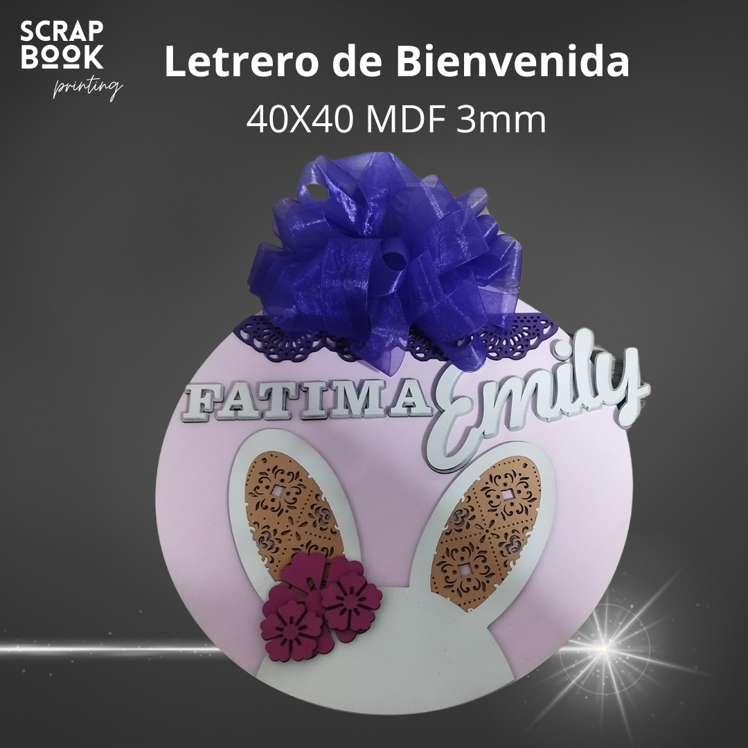 Bienvenida conejo